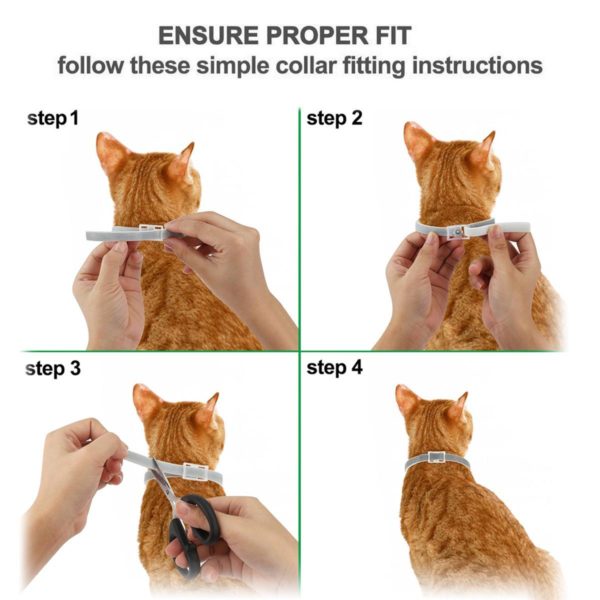 Fästing och lopp halsband för katt