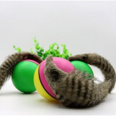 Livlig leksakboll - din katt kommer att älska det!