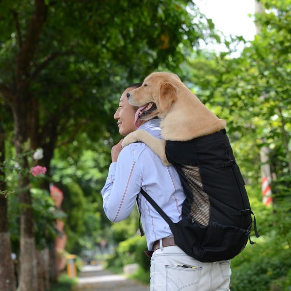 Bärväska, ryggsäck för hund - S, Svart