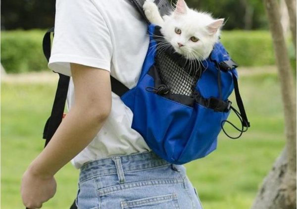 Bärväska, ryggsäck för hund - L, Blå