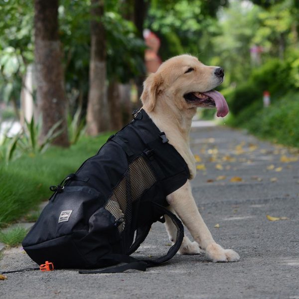 Bärväska, ryggsäck för hund - S, Svart