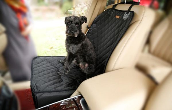 Djurskydd för sätet i din bil med en hundleksak
